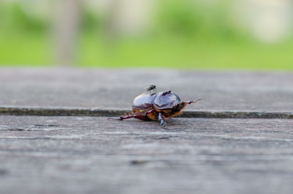 Photograph by Светлана Кудянова