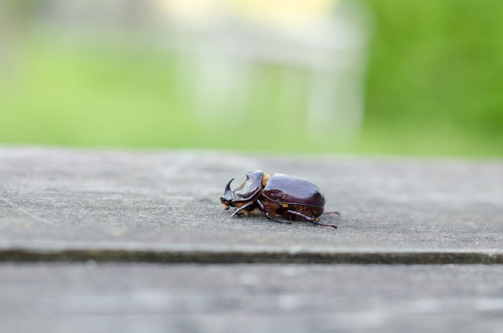 Photograph by Светлана Кудянова