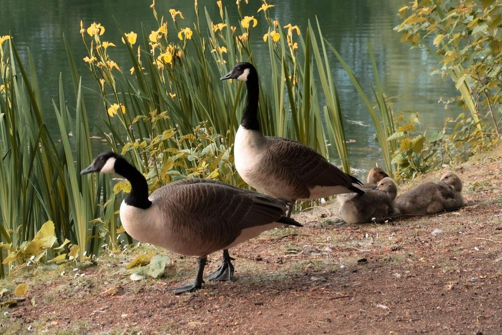 Photograph by Timea Kovacs