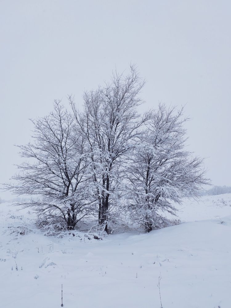 Photograph by Ульяна Кузьмина