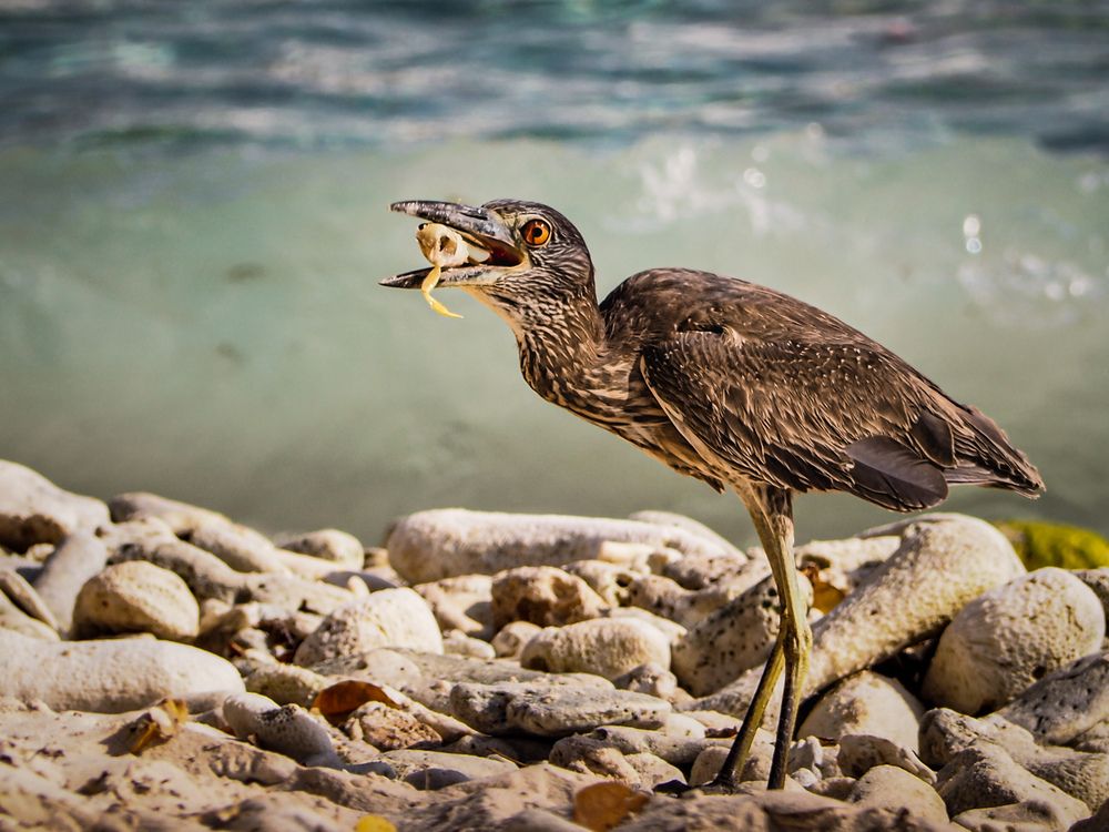 Photograph by Son Ja