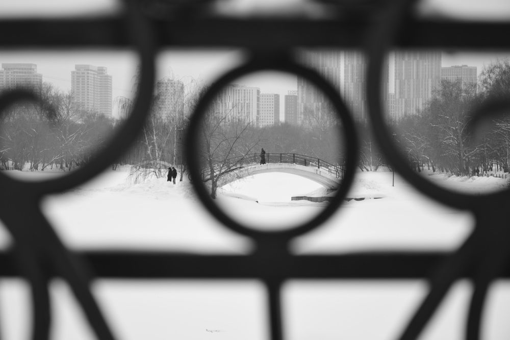 Photograph by Maria Yakovleva