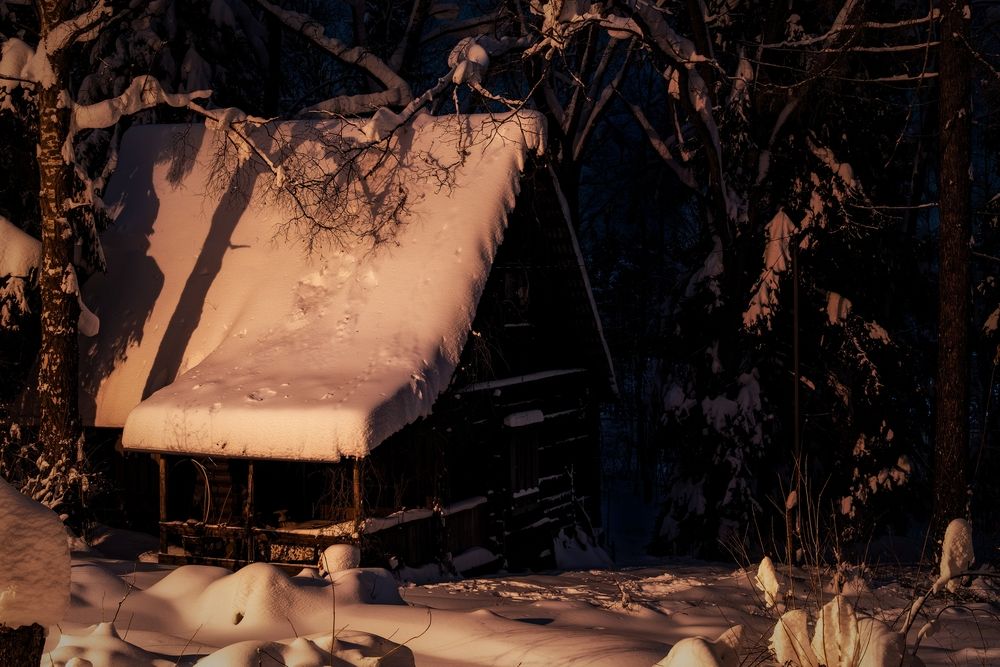 Photograph by Михаил Косолапов