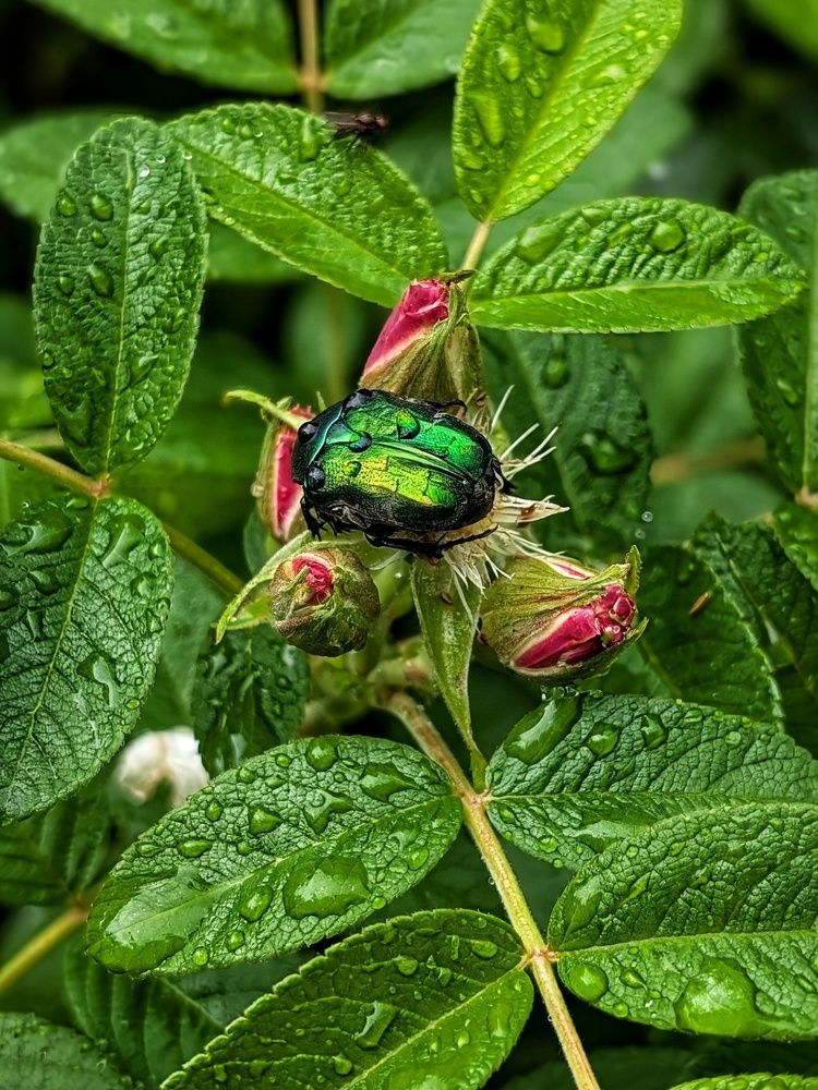 Photograph by Любовь Колмакова