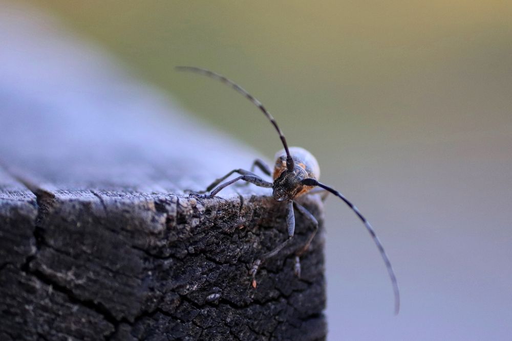 Photograph by Владимир Перминов