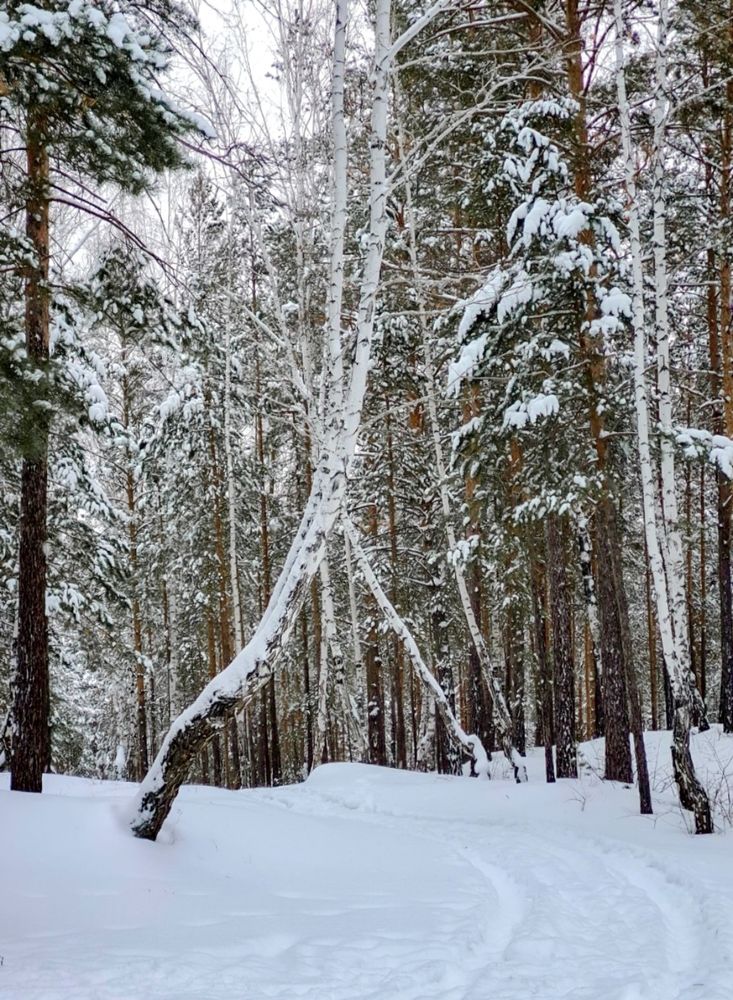 Photograph by Марина Соловьева