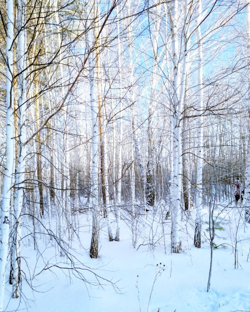 Photograph by Марина Соловьева