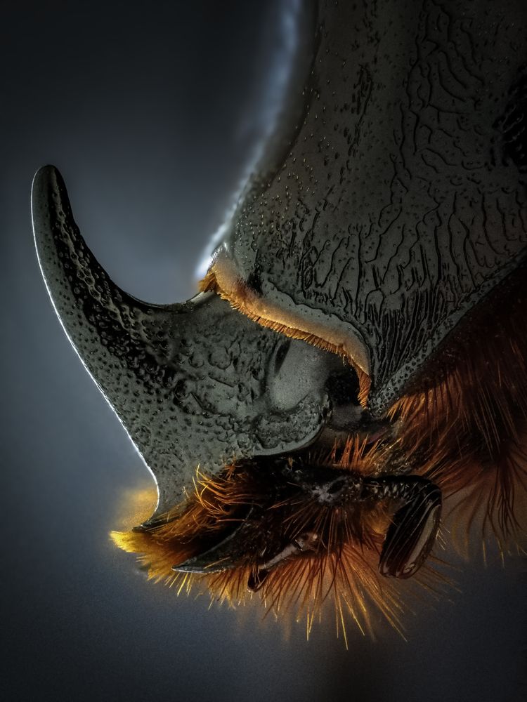 Photograph by Олег Савицкий