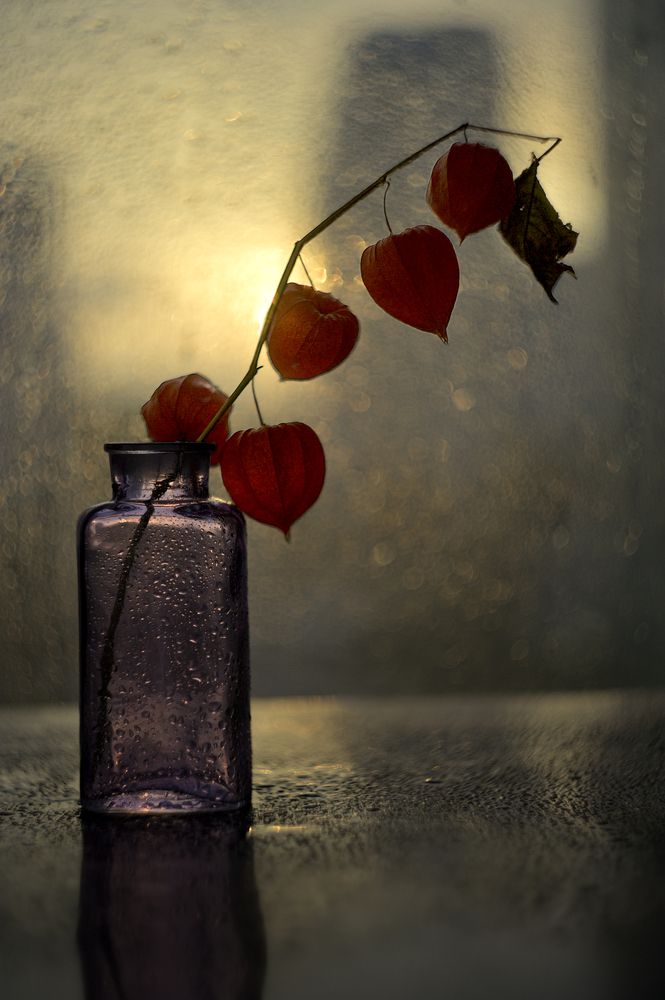 Photograph by Наталья Комиссарова