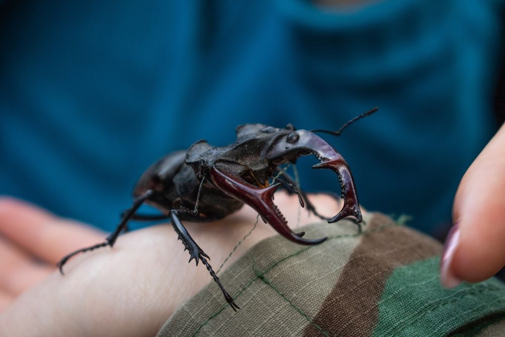 Фотография автора Виктория Трущенко