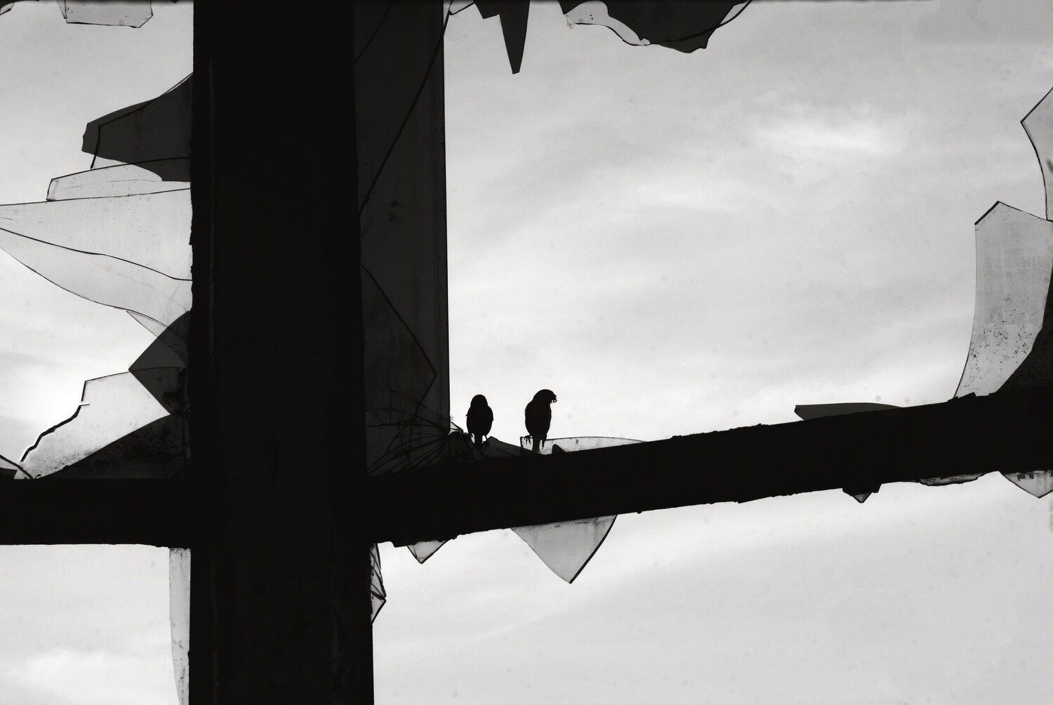 Photo #13221592