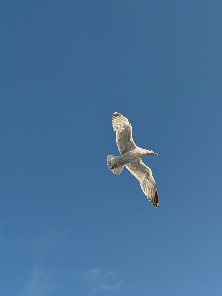 Photograph by Anna Yildiz