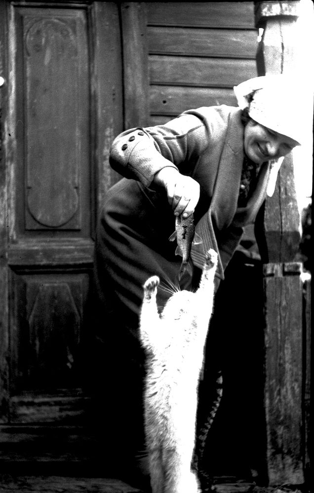 Photograph by Владимир Малёшин