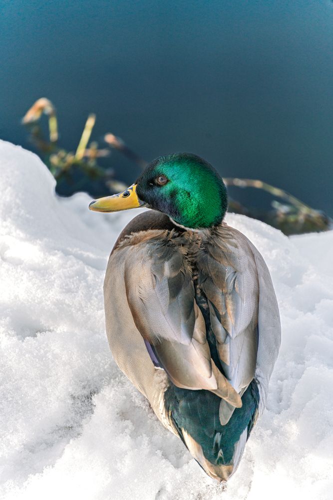 Photograph by Михаил Юшко