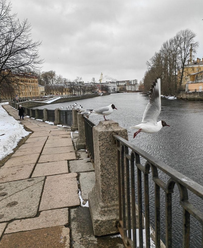Photograph by Ульяна Кузьмина