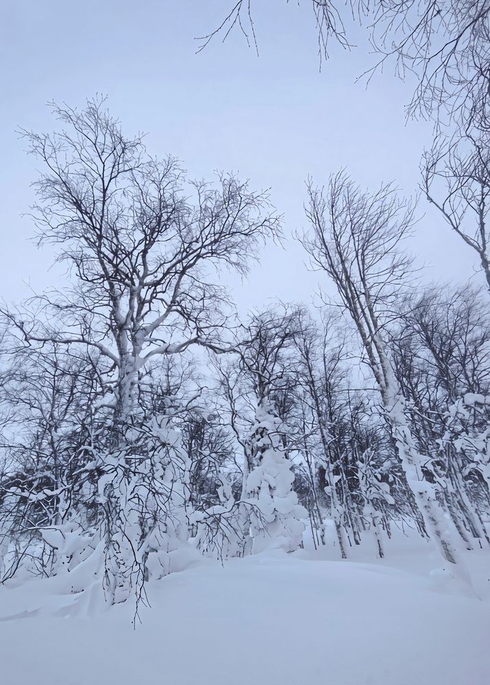 Photograph by Юлия Холомцева