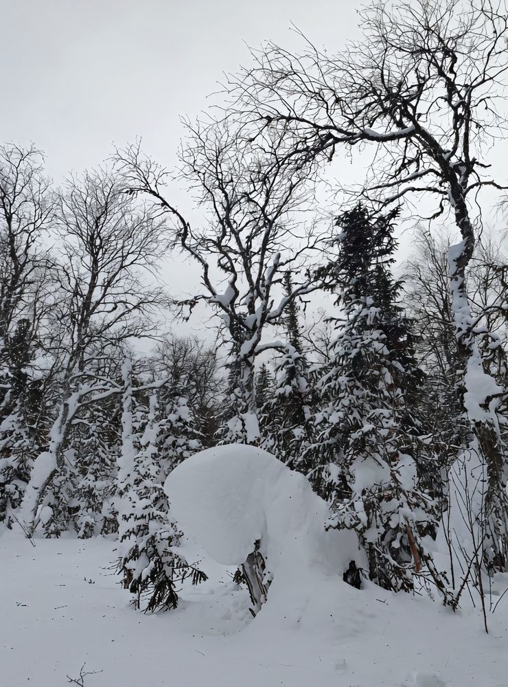 Photograph by Юлия Холомцева