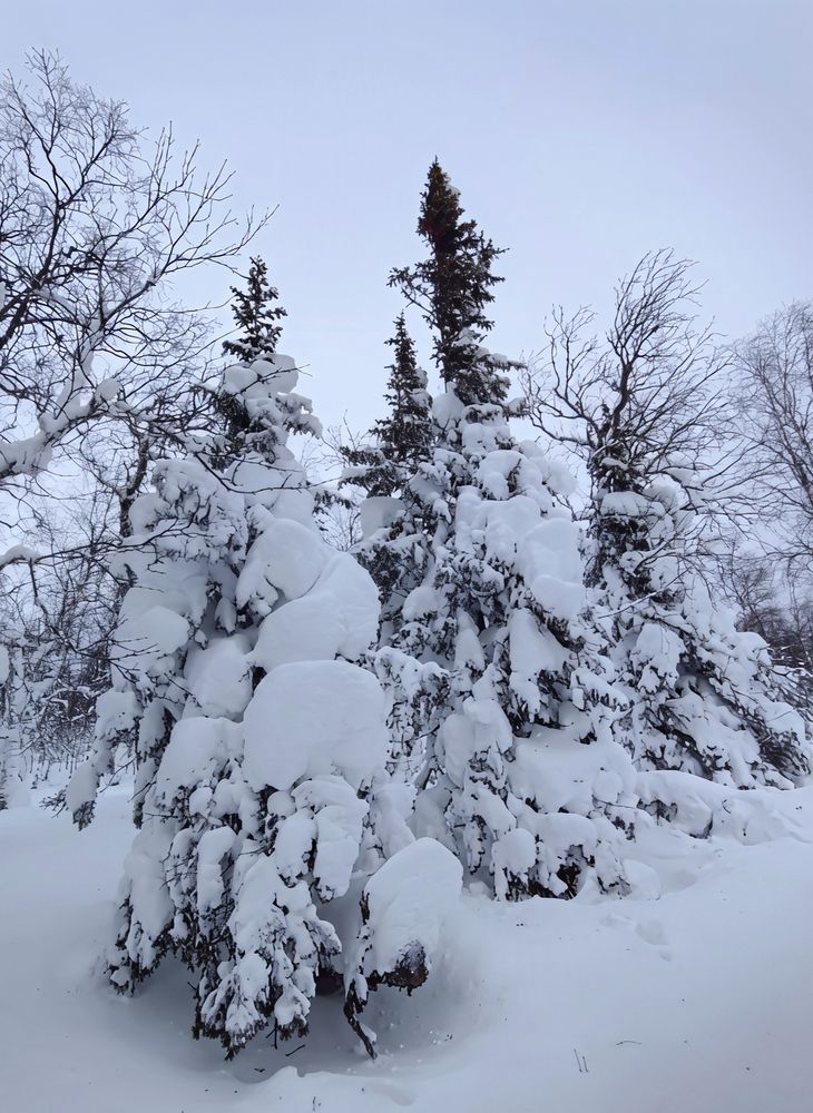 Photograph by Юлия Холомцева