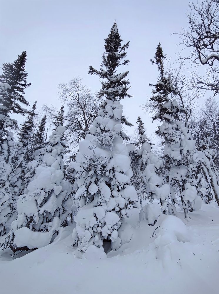 Photograph by Юлия Холомцева