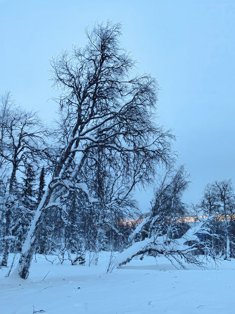 Photograph by Юлия Холомцева