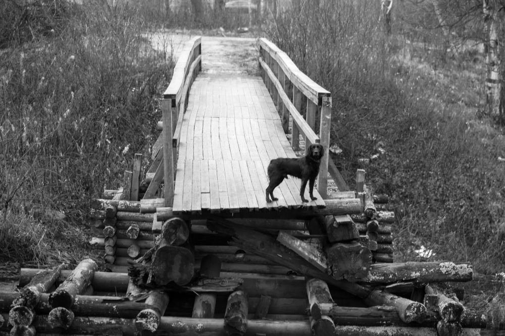 Фотография автора Dimitri Bakhtadze