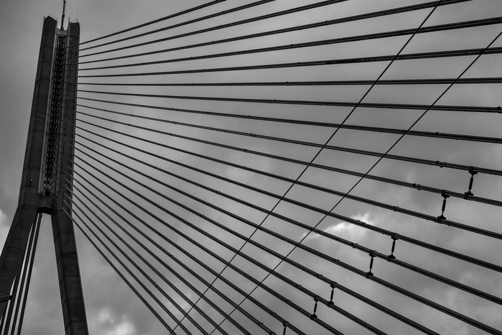 Фотография автора Dimitri Bakhtadze