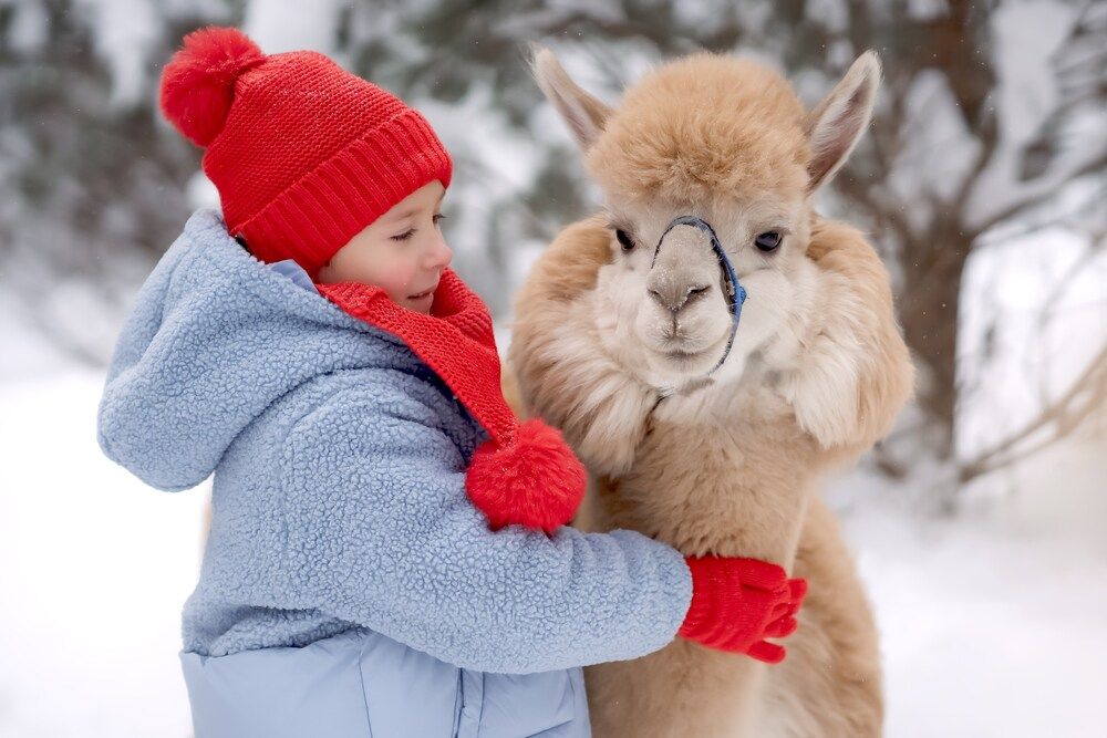 Photograph by Марина Суздаль