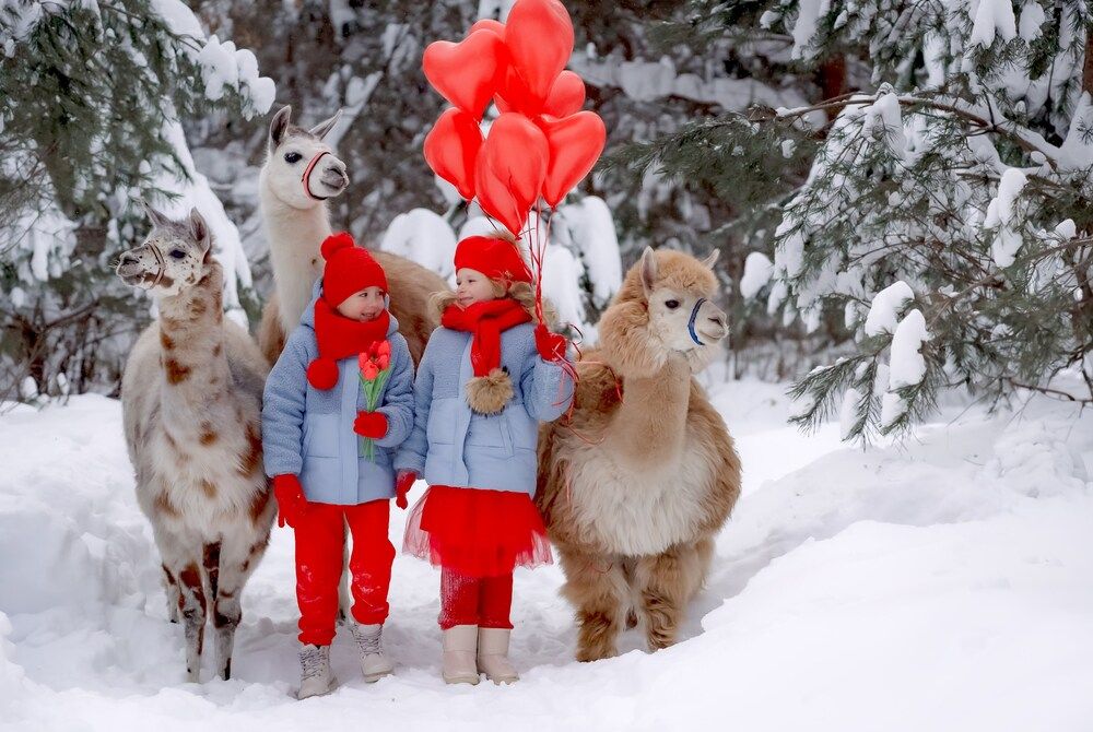 Photograph by Марина Суздаль