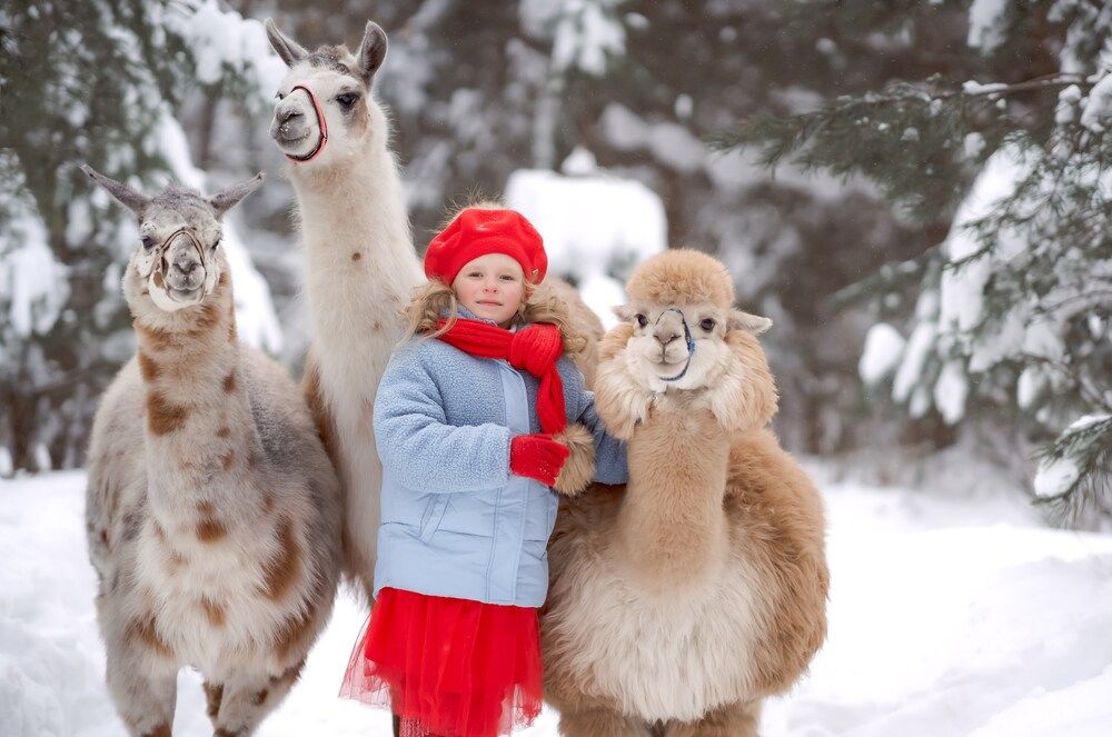 Photograph by Марина Суздаль