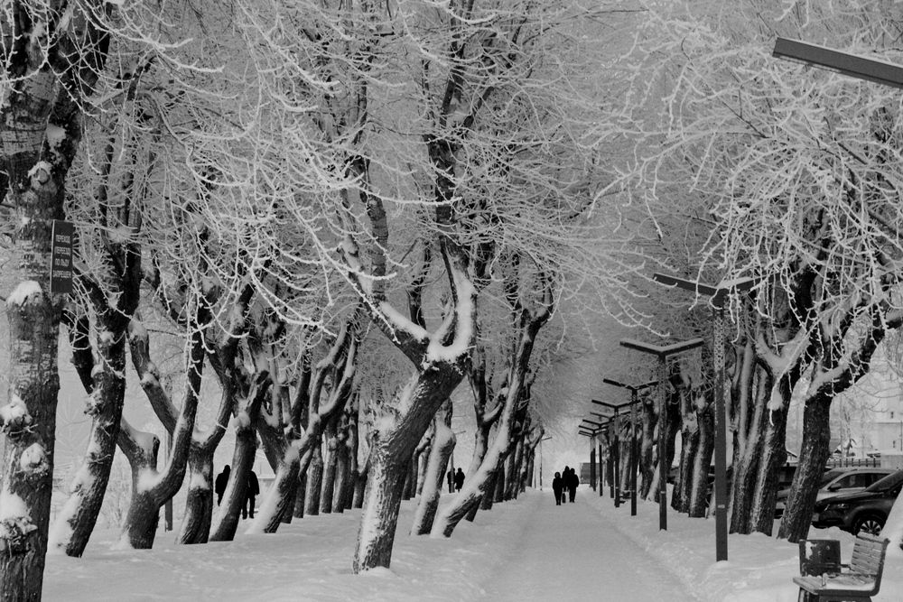 Photograph by Ольга Ситникова