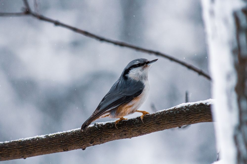 Фотография автора Денис Мартыновский