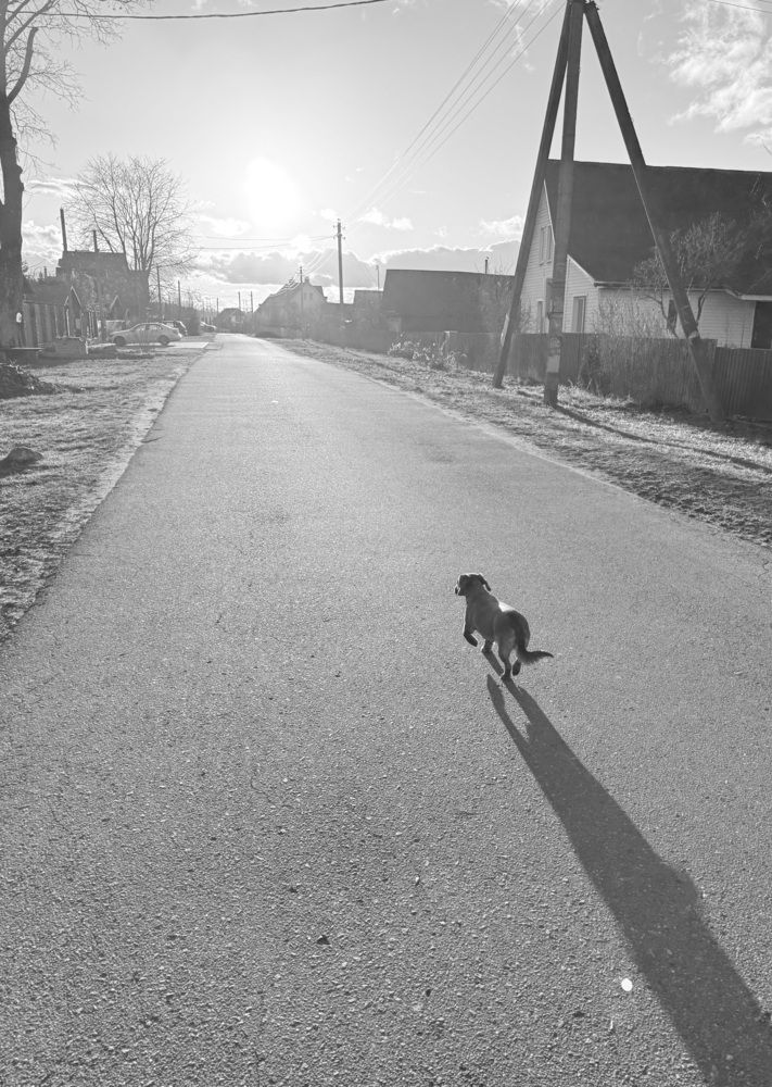 Photograph by Марта