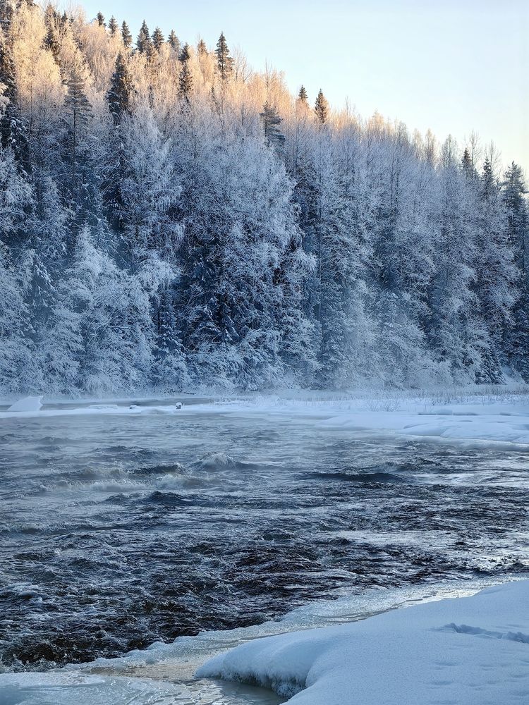 Winter frosty day