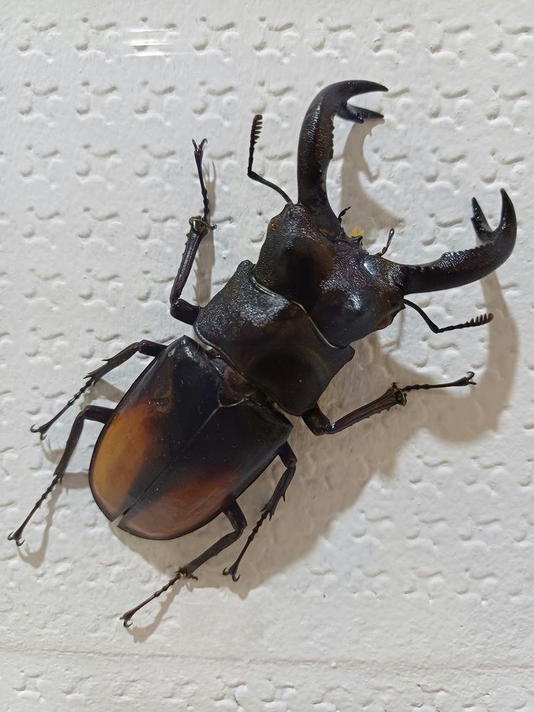 Photograph by Александра Ельникова