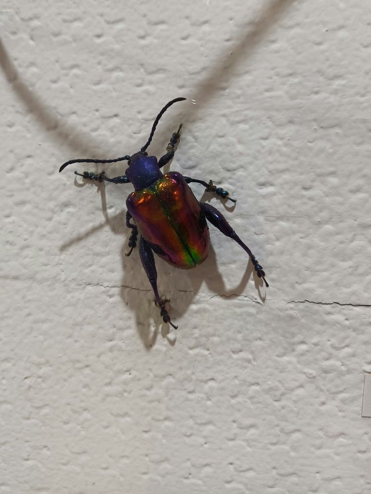 Photograph by Александра Ельникова