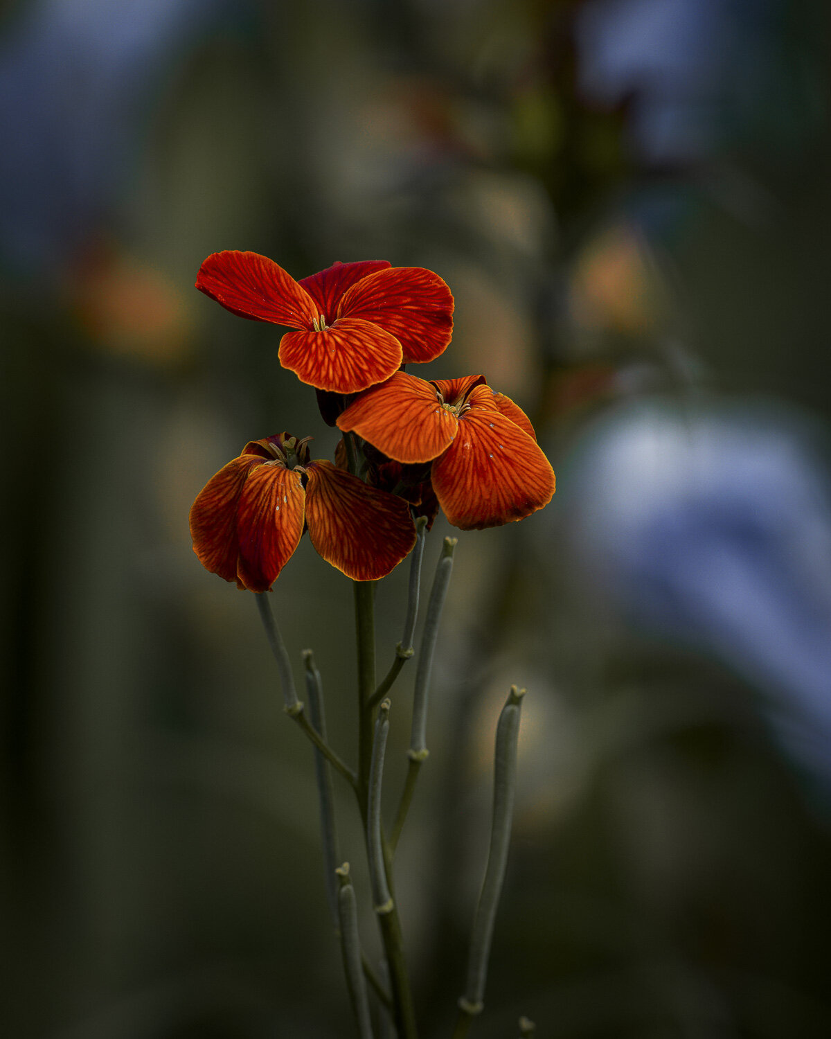 Photo #13222105
