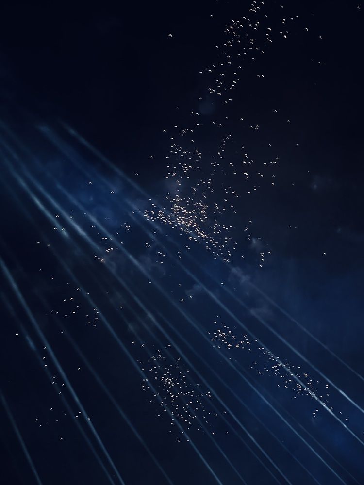 Sparkling