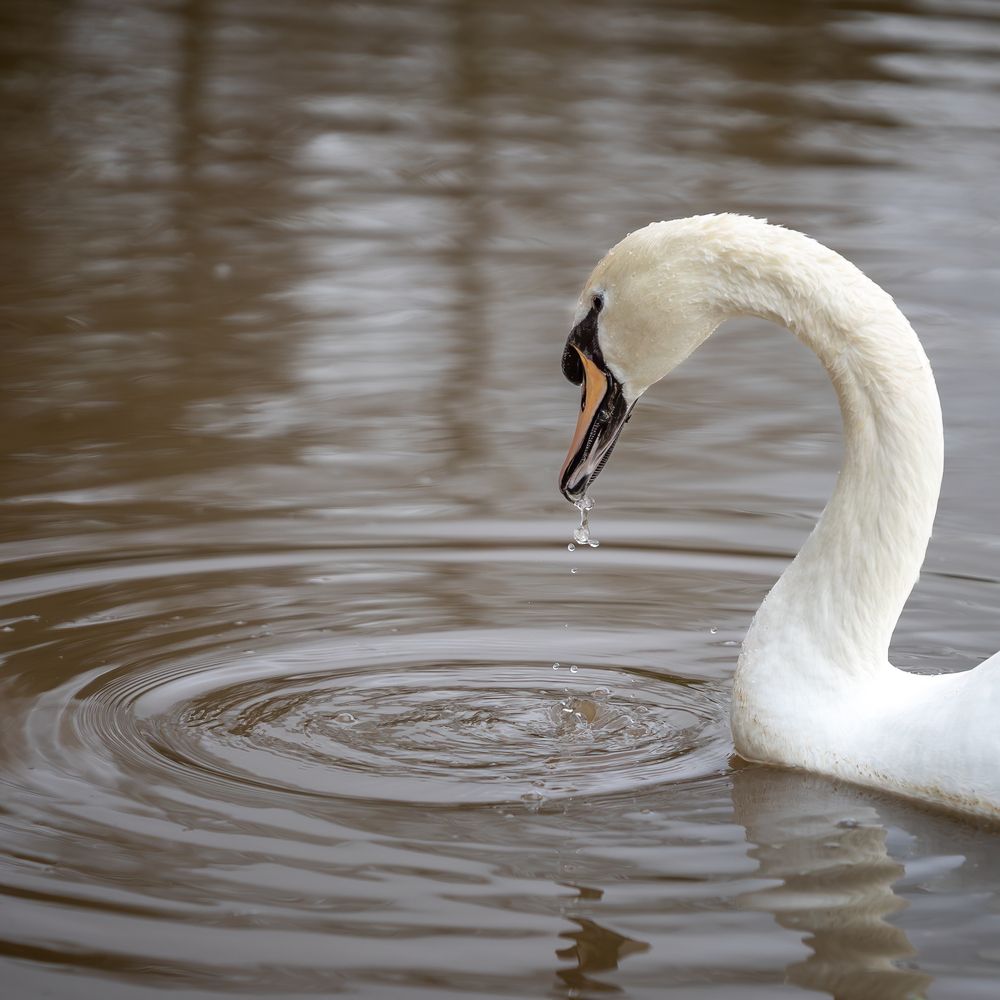 Photograph by Alexander Pakhomov