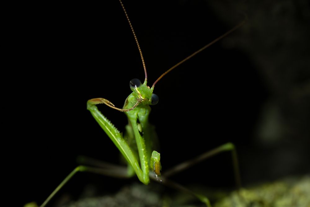 Photograph by Alexander Pakhomov