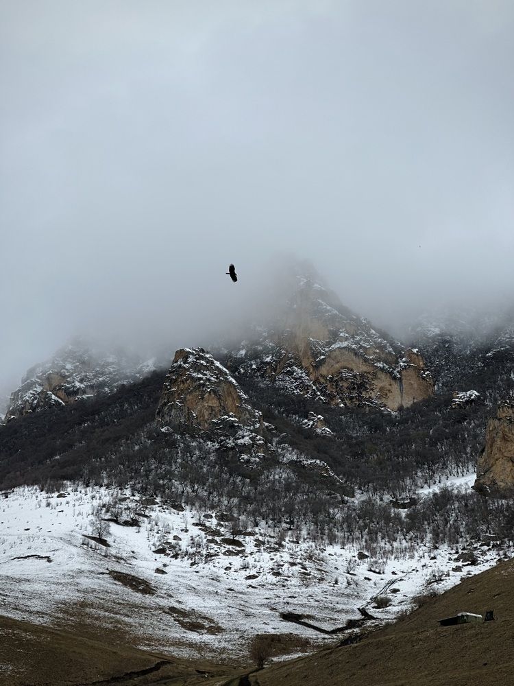 Photograph by Karina Volynskaya