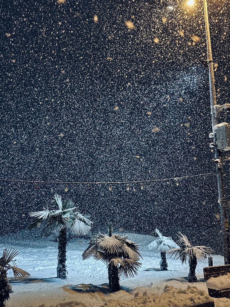 Photograph by Karina Volynskaya