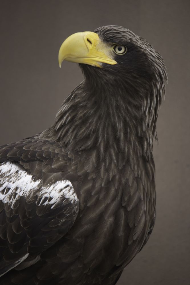 Photograph by ALI Pashang