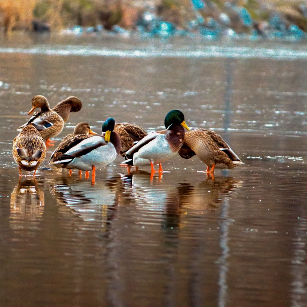 Photograph by Евгений Авдеев