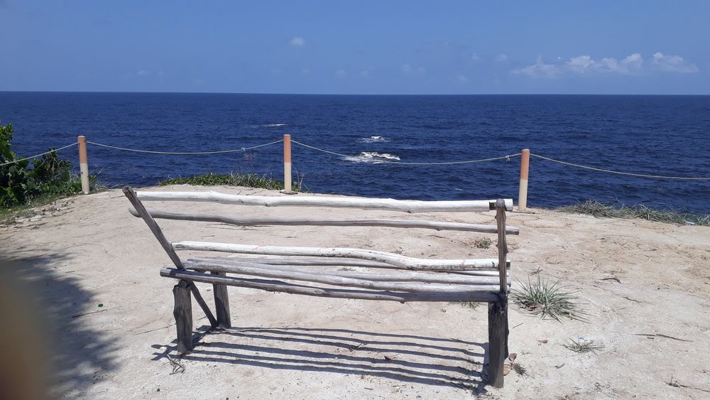 Photo #13222344