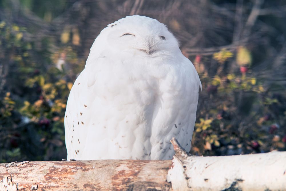 Photograph by Антон Гаврилов