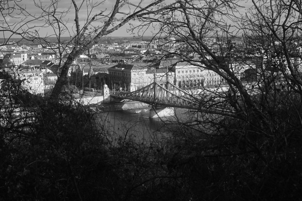 Photograph by Бирюков Сергей
