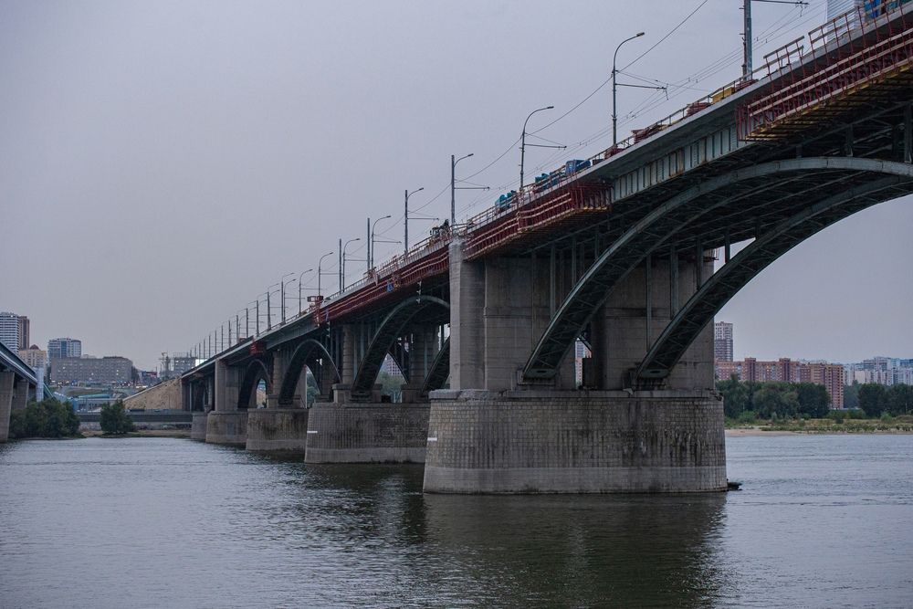 Фотография автора Елена Павлова