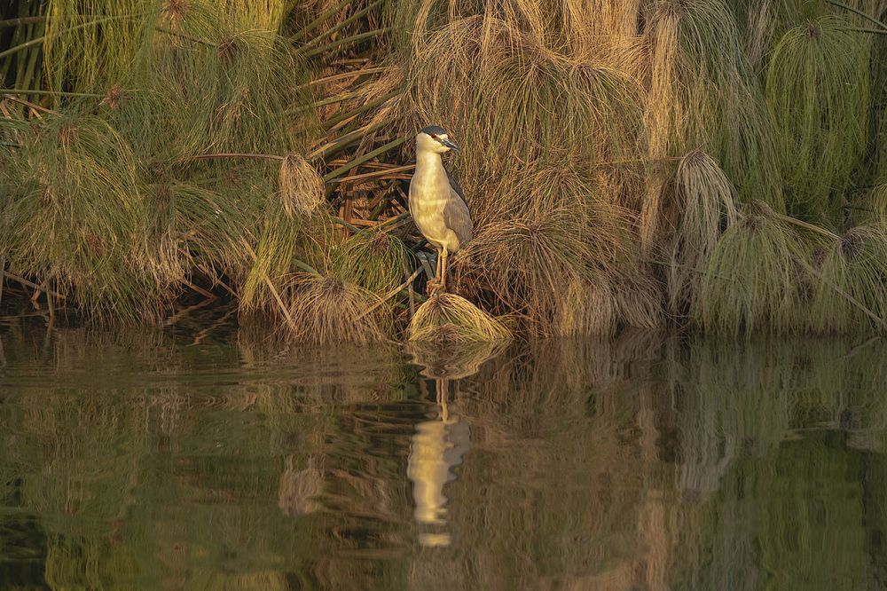 Photograph by Joaquin Silva