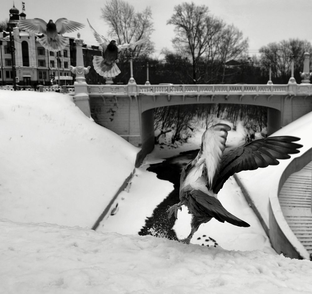 Ключ на старт