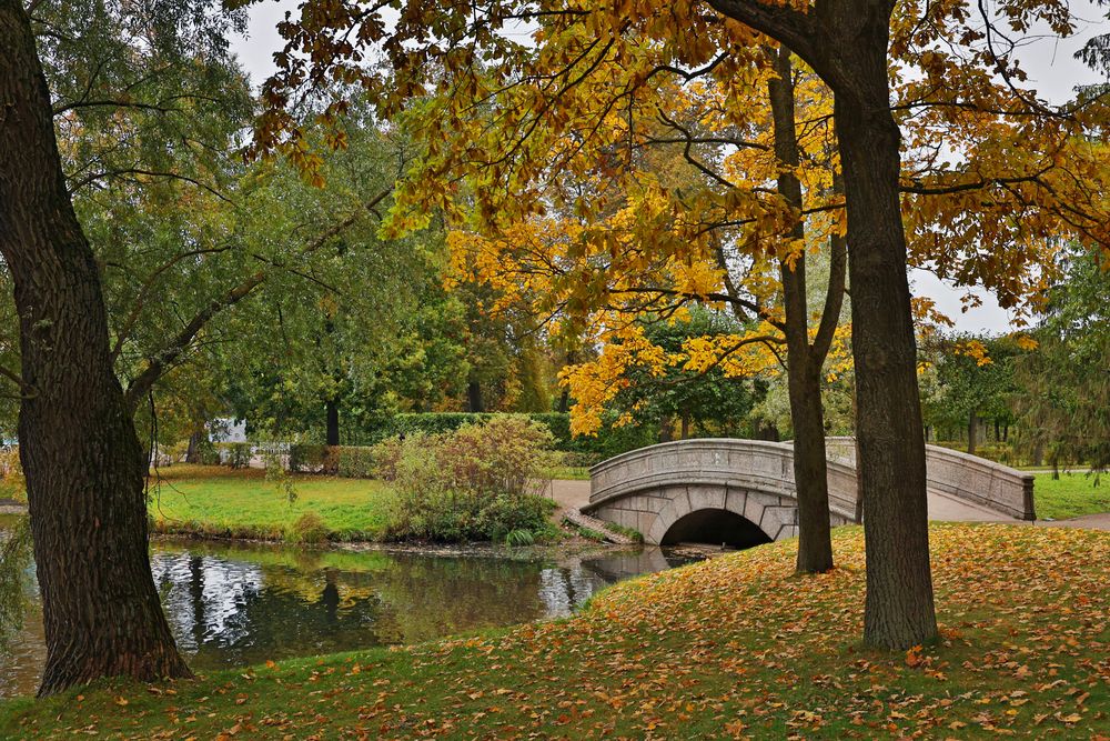 Золотая осень